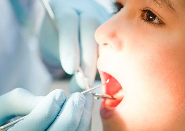 Pediatric Dentist Check Up A Child Mouth